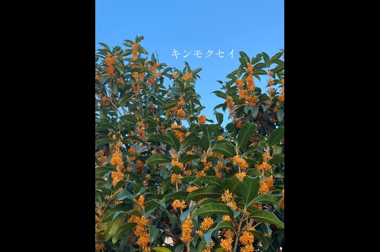 1606245C-524A-44CE-9477-CE1D4373FB81
